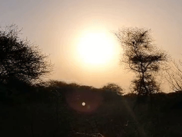 गर्मी बढ़ी, रायपुर में पारा 33° के करीब:सभी जिलों में 2-3 डिग्री तक बढ़ा टेम्प्रेचर, अगले हफ्ते भी मौसम ड्राई, धूप तेज होगी