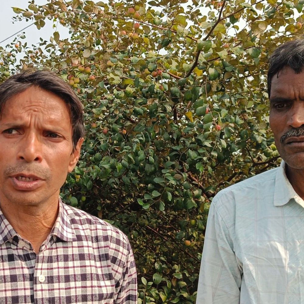 एप्पल बेर की खेती से सालाना 5लाख का प्रॉफिट:बांका में यूट्यूब से सीखी तकनीक,किसानों के लिए बने प्रेरणा; लोग कहते ‘मिनी कश्मीर’