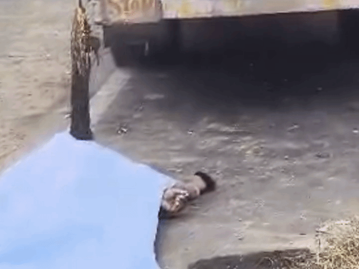 कुशीनगर में घने कोहरे के कारण बाइक ट्रक से भिड़ी:विदेश यात्रा के लिए दोस्त को गोरखपुर छोड़ने गए युवक की मौत, लौटते समय हुआ हादसा