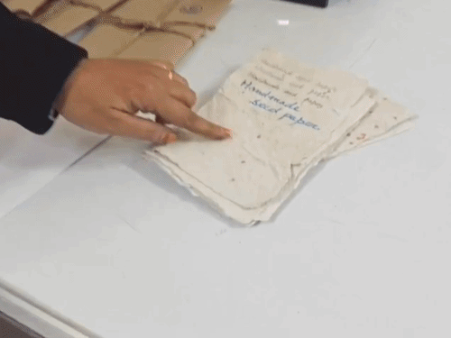 काजग से उगेंगे पौधे:इनवायरमेंट फ्रेडली ‘सीड पेपर’ करेगा कमाल, गोरखपुर में हुआ एक्सपेरिमेंट