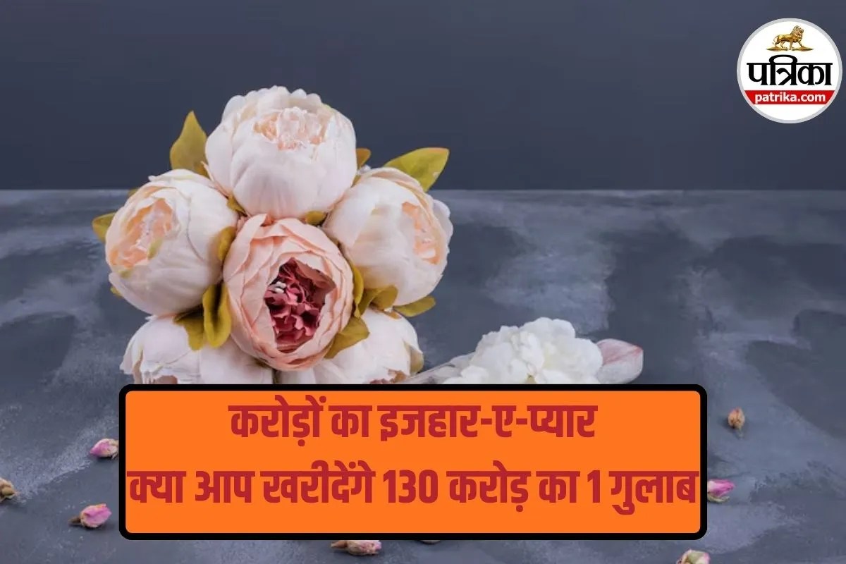 Rose Day 2026: प्यार की कीमत करोड़ों में! ये हैं दुनिया के 7 सबसे महंगे गुलाब, जिनकी कीमत जानकर चौंक जाएंगे आप