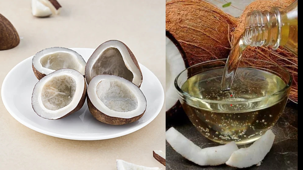 घर में पड़े सूखे नारियल से बनाएं शुद्ध नारियल तेल, मिक्सी में पीसकर ऐसे तैयार करें Coconut Oil