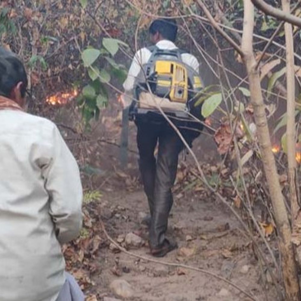 रायगढ़ के जंगलों में दावानल की शुरुआत:परेवा पहाड़ में लगी आग, वन विभाग काबू पाने में जुटा