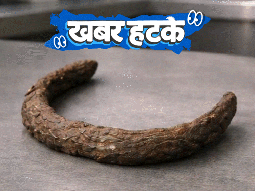 खबर हटके- आसमान से गिरा लोहा, सोने से महंगा:₹1 लाख के लिए ढाई साल के बेटे को बेचा; महाराष्ट्र का यह गांव जाति-मुक्त