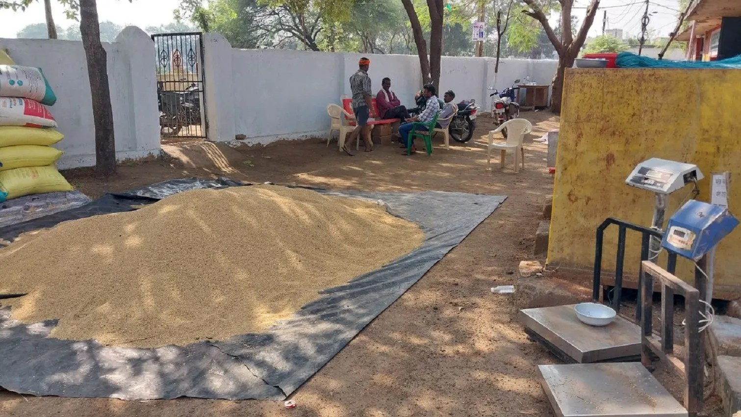 खुशखबर :होली से पहले प्रदेश के 25 लाख धान किसानों के खाते में आएंगे 10 हजार करोड़