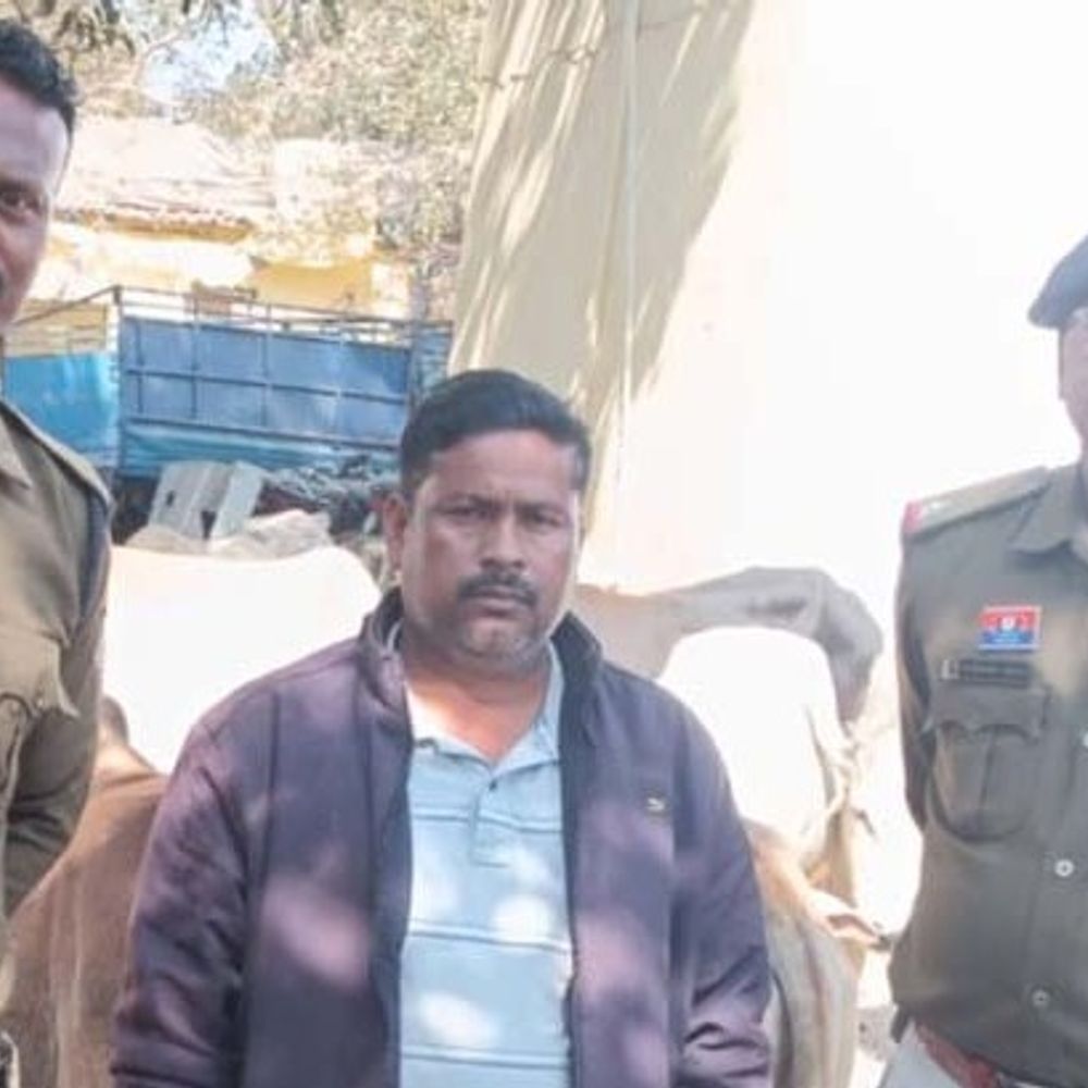 रायगढ़ में मवेशी तस्कर गिरफ्तार:32 मवेशियों को क्रुरतापूर्वक ले जा रहा था बुचड़खाना, मवेशी तस्करों के खिलाफ पुलिस ने शुरू किया ऑपरेशन शंखनाद