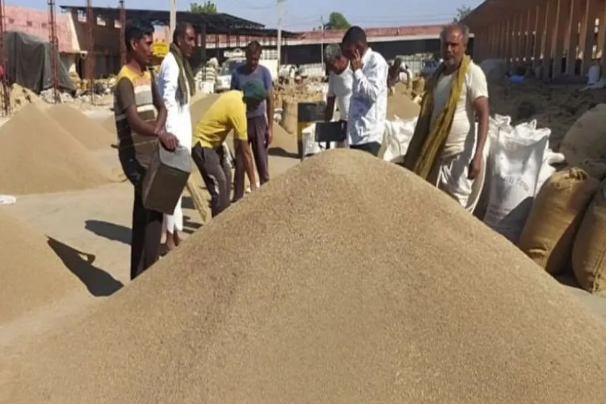 Cumin Price Hike: महंगा हुआ जीरा, बुआई में देरी और बारिश के चलते इतने रुपए किलो पहुंचे दाम, जानें लेटेस्ट भाव