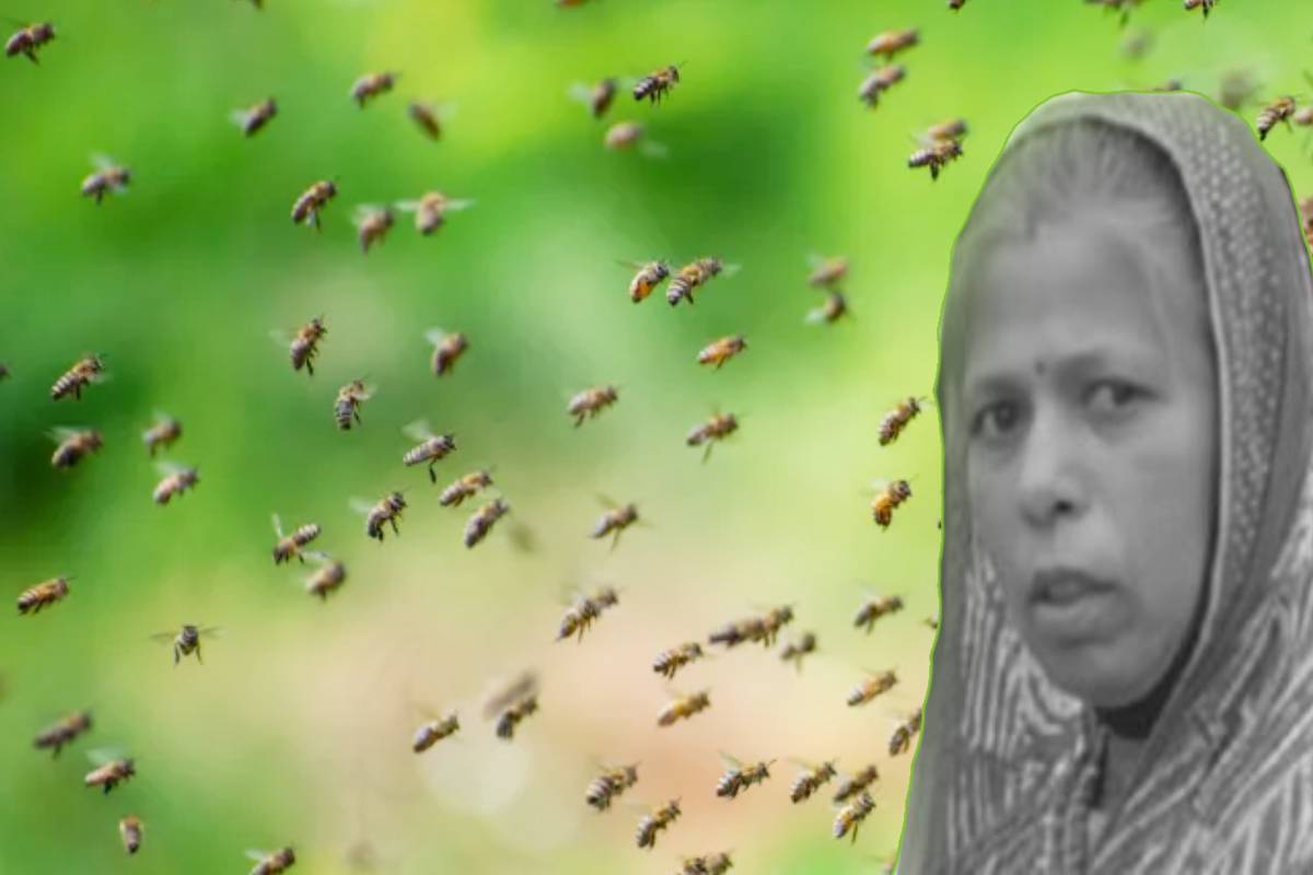 एमपी में महिला ने खुद की जान देकर बचाई आंगनबाड़ी के बच्चों की जान