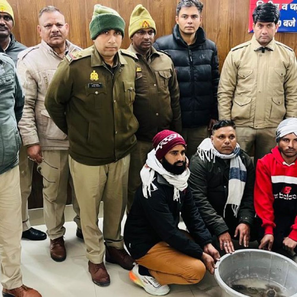 मेरठ में प्रतिबंधित कछुओं के साथ तीन तस्कर गिरफ्तार:एक इंडियन स्पॉटेड कछुए के अलावा 23 इंडियन टेन कछुए बरामद,वन विभाग को सौंपे