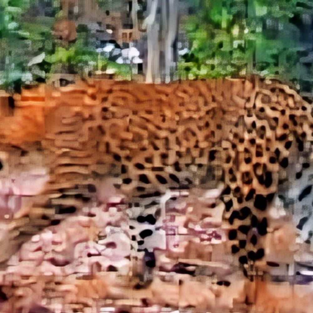 सारंडा के जंगलों में लगे‎ कैमरे में तेंदुआ कैद‎:ऑल इंडिया टाइगर एस्टीमेशन के तहत हुआ सर्वे, रिपोर्ट पलामू के बेतला भेजी जाएगी