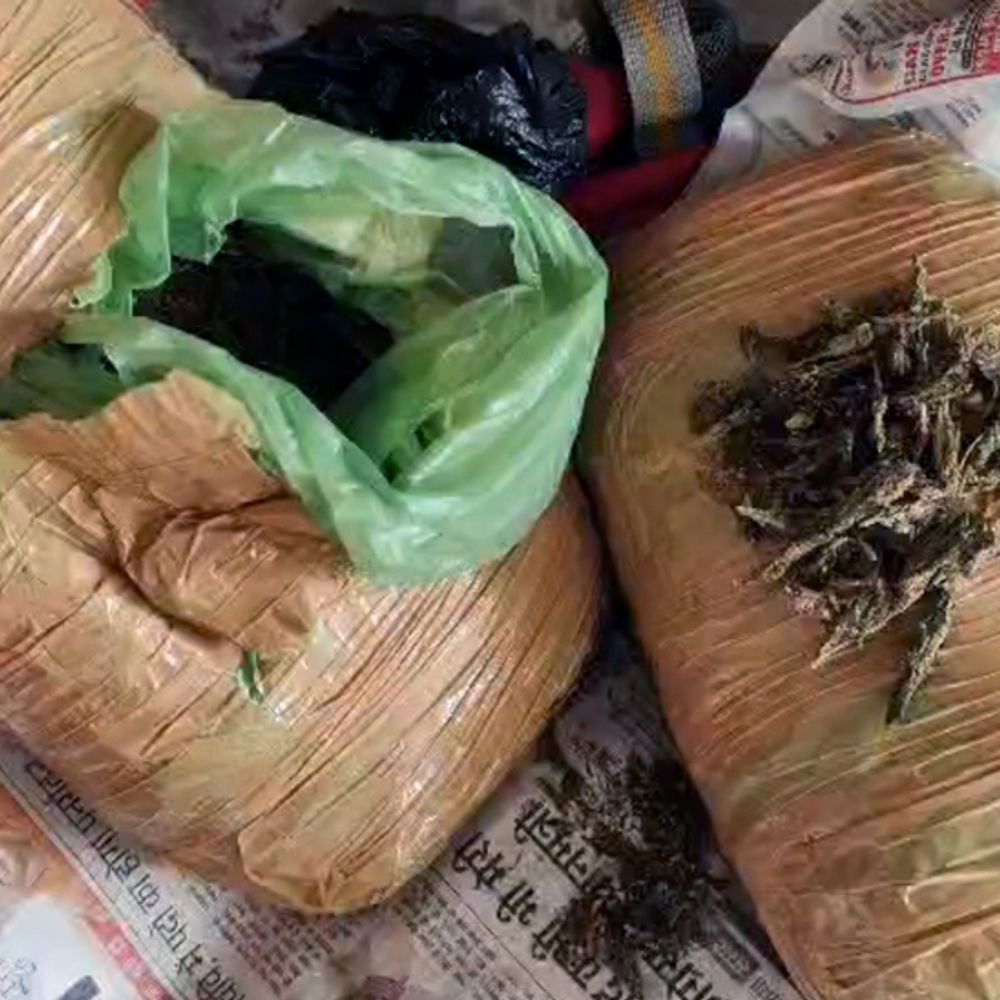 चौकीदार ने गांजा जब्त किया, तस्करों ने बाइक छीनी:कोडरमा में गांजा तस्कर आंखों में मिर्च पाउडर डाल बाइक छीनकर फरार हुए