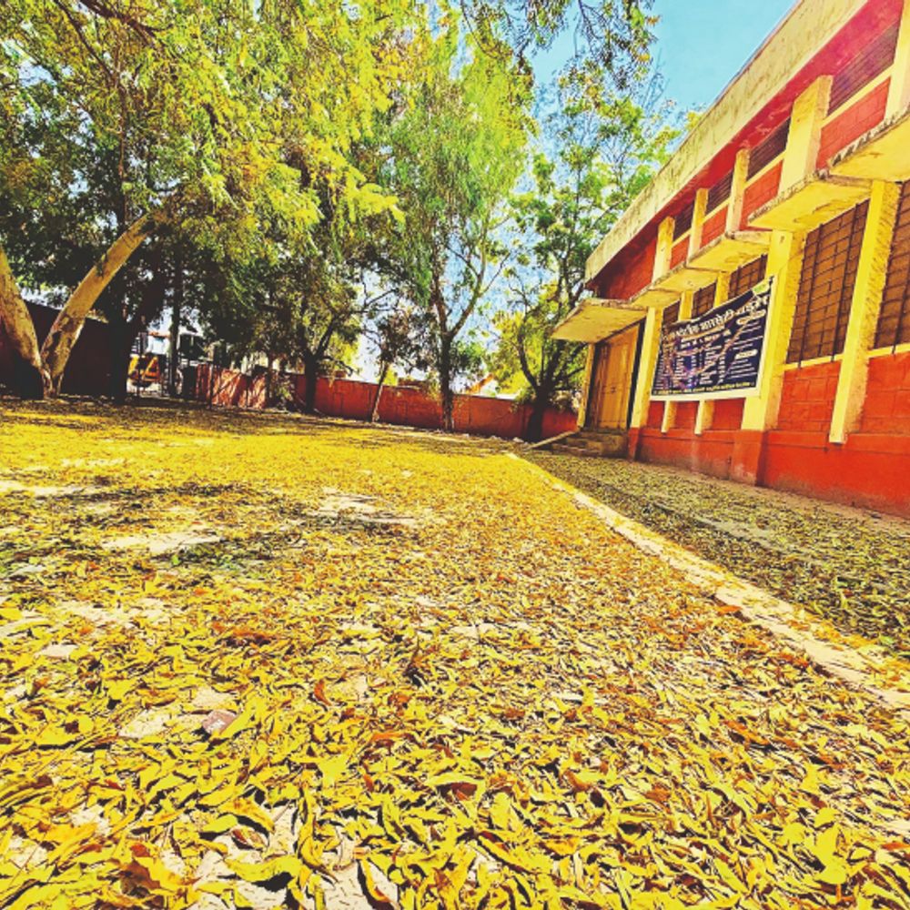 मौसम विभाग:34 डिग्री पार पहुंचा तापमान, अब पतझड़ से धरती पीली