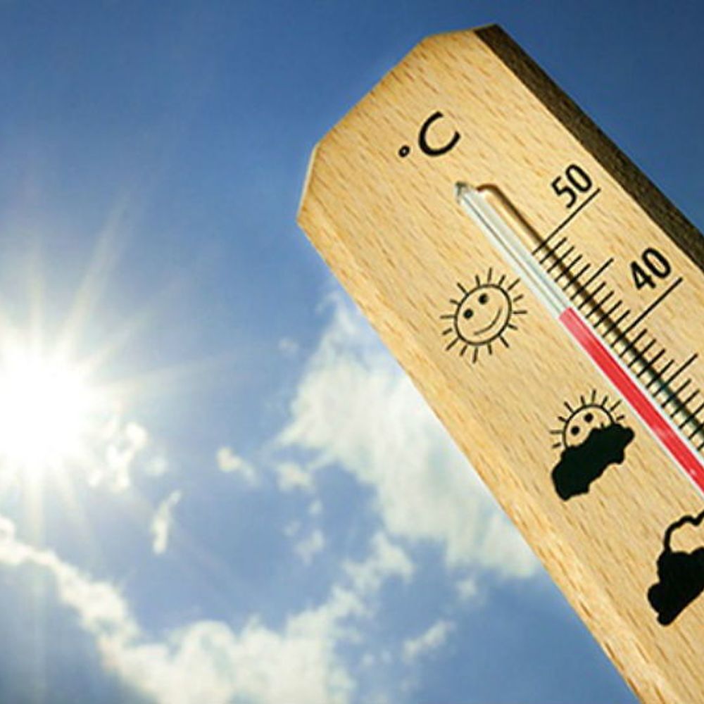 ठंड की विदाई, वसंत ने दी दस्तक:पछुआ हवा का असर कम हो रहा; दिन में गर्मी, रात में गुलाबी ठंड