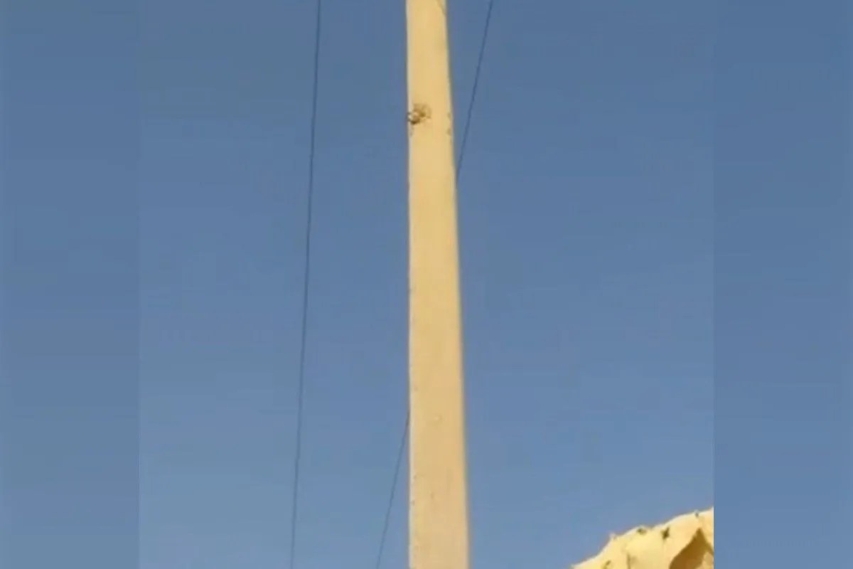 अलवर: गांव में 11 केवी लाइन टूटने से 50 बकरे-बकरियों की मौत, पशुपालक को 10 लाख का नुकसान