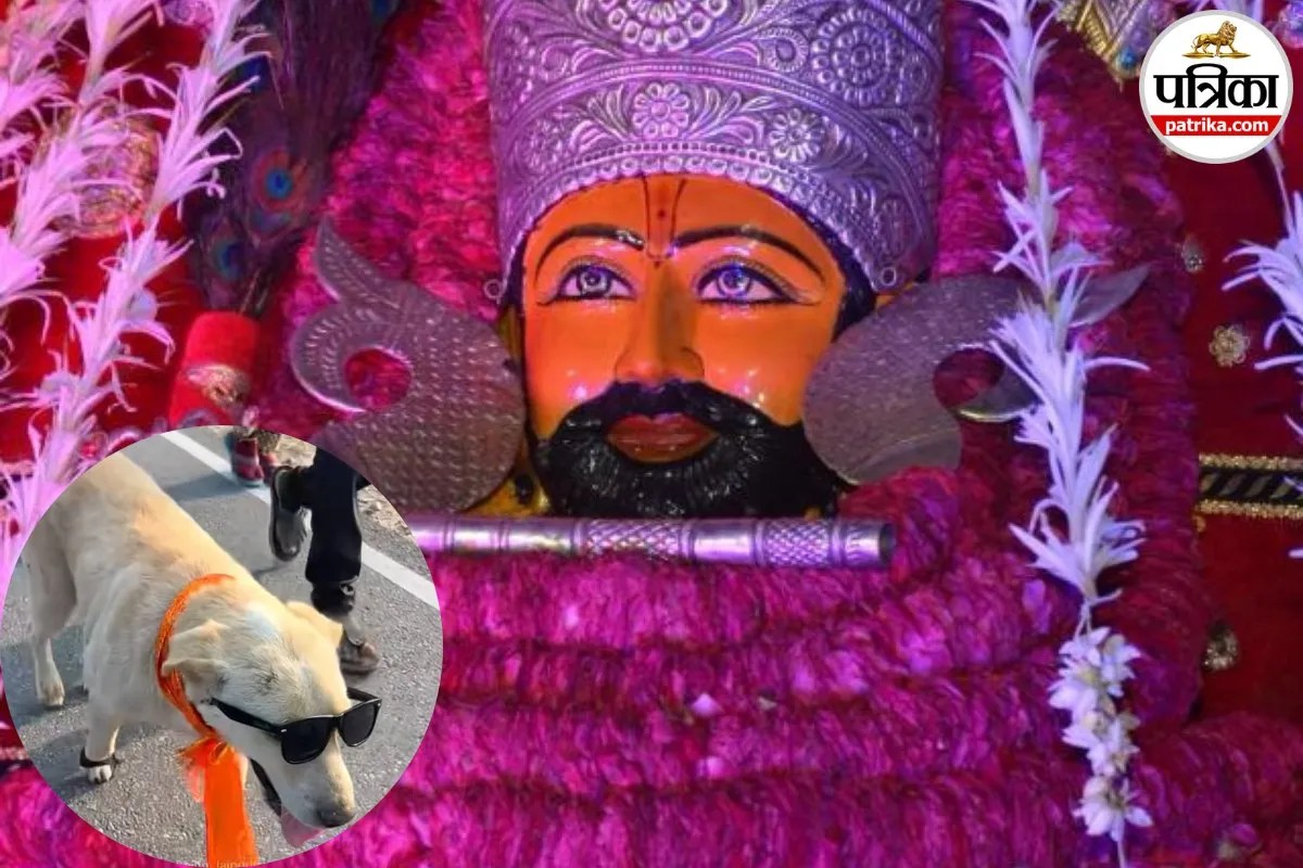 Khatu Shyam Viral Video: ये है असली श्याम भक्त, मीलों सफर तय कर चौखट तक पहुंचा.. आगे की कहानी दिल को झकझोर देगी!