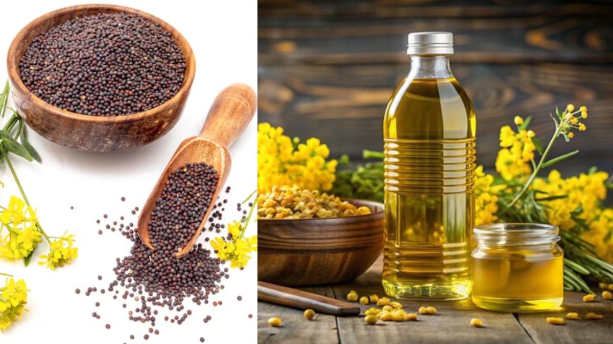 घर में रखे सरसों से इस तरह तैयार करें प्योर सरसों तेल, जान लें बिना मिलावट वाला Mustard Oil बनाने का तरीका