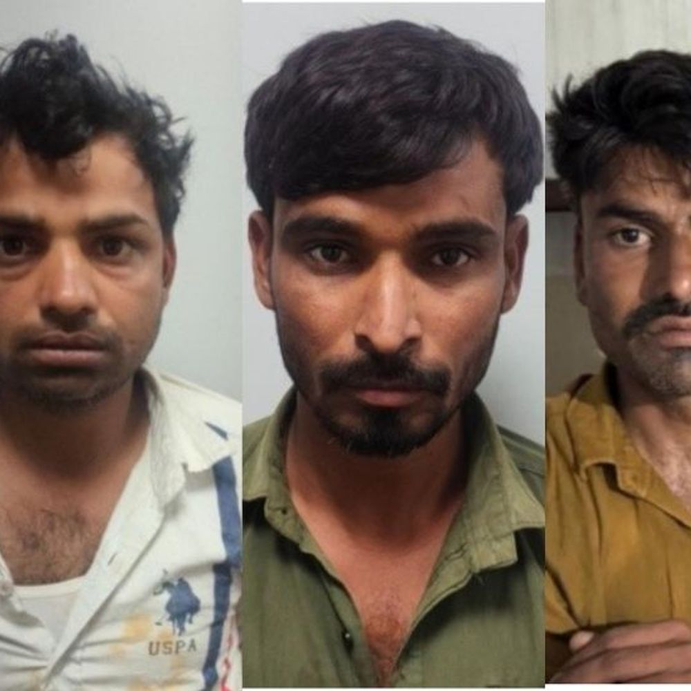 जयपुर में भैंस चोरी का खुलासा: तीन आरोपी गिरफ्तार:दो भैंस, दो पाड़ी और पिकअप वाहन बरामद; करौली मिले चोरी के पशु