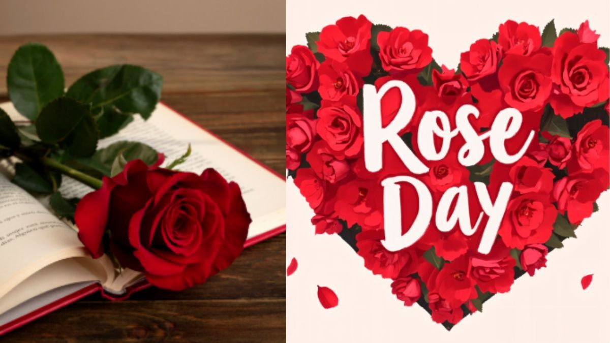 Happy Rose Day 2026 Wishes for Wife Husband Gf Bf: मेरी जिंदगी का हसीन ख्वाब हो तुम…रोज डे पर अपनी महबूबा को भेजे ये शुभकामना संदेश