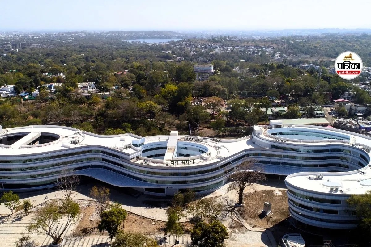 MP ‘वन विभाग’ में सरकारी नौकरी का सुनहरा मौका, जल्दी करें आवेदन