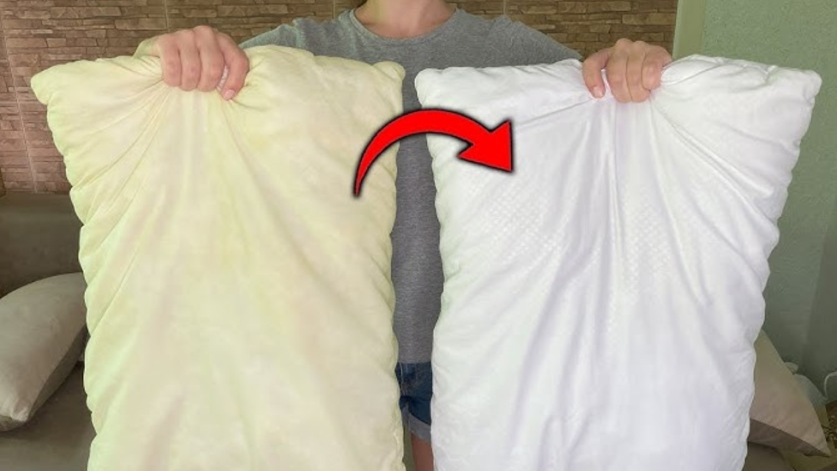 तकिए के अंदर जम गई है धूल-गंदगी, बिना पानी का इस्तेमाल किए हो जाएगी सफाई, बेहद कारगर हैक्स