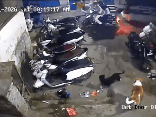 दरगाह के शाही कव्वाल व बेटे से मारपीट,VIDEO:घायलों का करवाया इलाज, 6 लोगों के खिलाफ शिकायत, पुलिस ने कराया मेडिकल