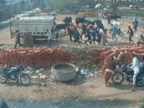 रोहतक में जमीनी विवाद में दो पक्षों के बीच झगड़ा:प्लॉट पर कब्जा लेने आए लोगों को भगाया, रजिस्ट्री नाम न करवाने का आरोप