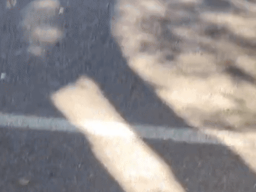 रेवाड़ी में दो कार में आपस में टकराई, एक पलटी:चार-पांच घायलों में एक परिवार के तीन, डहीना रोड पर फाटक के पास हादसा