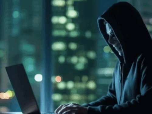 सरकारी कर्मचारी से 7.83 लाख की ठगी:भंडारे में हुआ था मोबाइल चोरी;चोर ने सिम पर ओटीपी लेकर निकाले पैसे