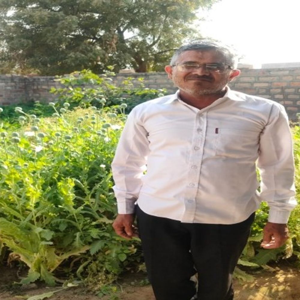 प्लॉट में सब्जी के बीच उगाए अफीम के पौधे:एक आरोपी गिरफ्तार, नशे के कारोबार के नेटवर्क की हो रही जांच