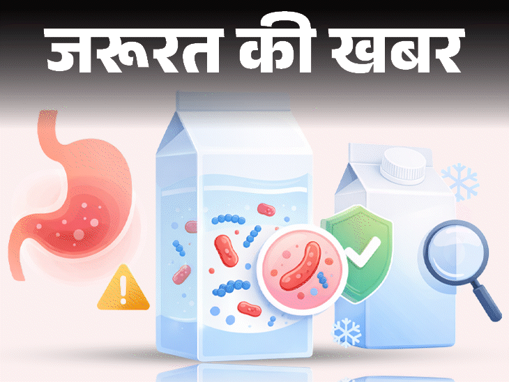 जरूरत की खबर- पैकेज्ड दूध में कोलिफॉर्म बैक्टीरिया:जानें इसके हेल्थ रिस्क, दूध को कैसे रखें सेफ, खरीदते हुए क्या सावधानी बरतें