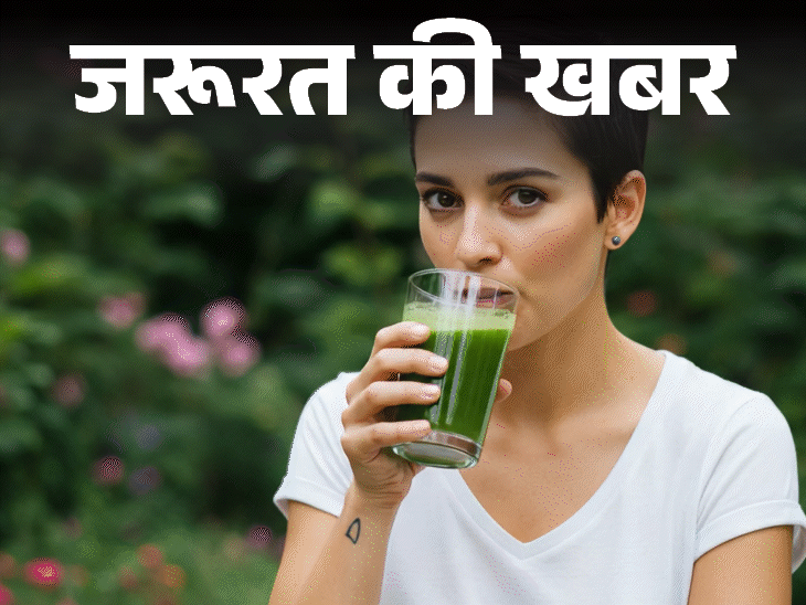 जरूरत की खबर- एलोवेरा जूस के 11 हेल्थ बेनिफिट्स:डॉक्टर से जानें किन्हें नहीं पीना चाहिए, खरीदते हुए बरतें ये जरूरी सावधानियां