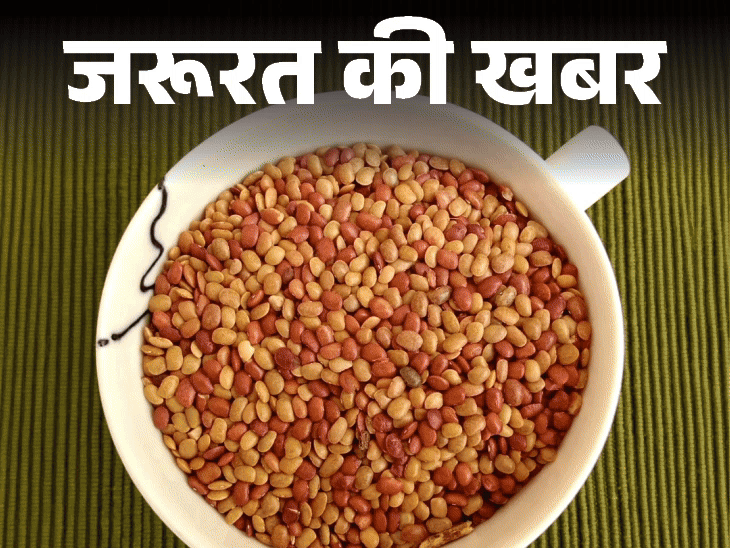 जरूरत की खबर- सेहत का खजाना कुलथी दाल:प्रोटीन का बेस्ट सोर्स, कब्ज में फायदेमंद, जानें इसकी न्यूट्रिशनल वैल्यू, हेल्थ बेनिफिट्स