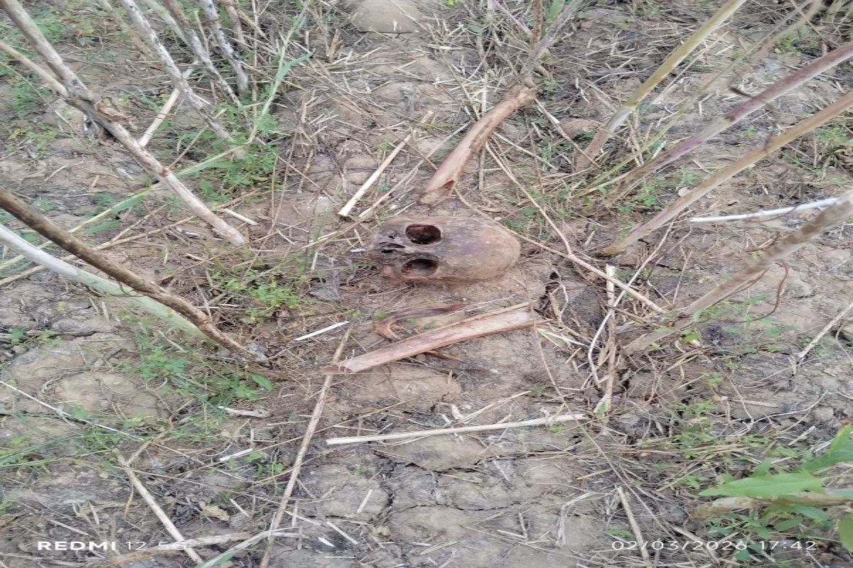 सरसों की कटाई करते समय खेत में मिला नर कंकाल, कपड़ों से शिनाख्त