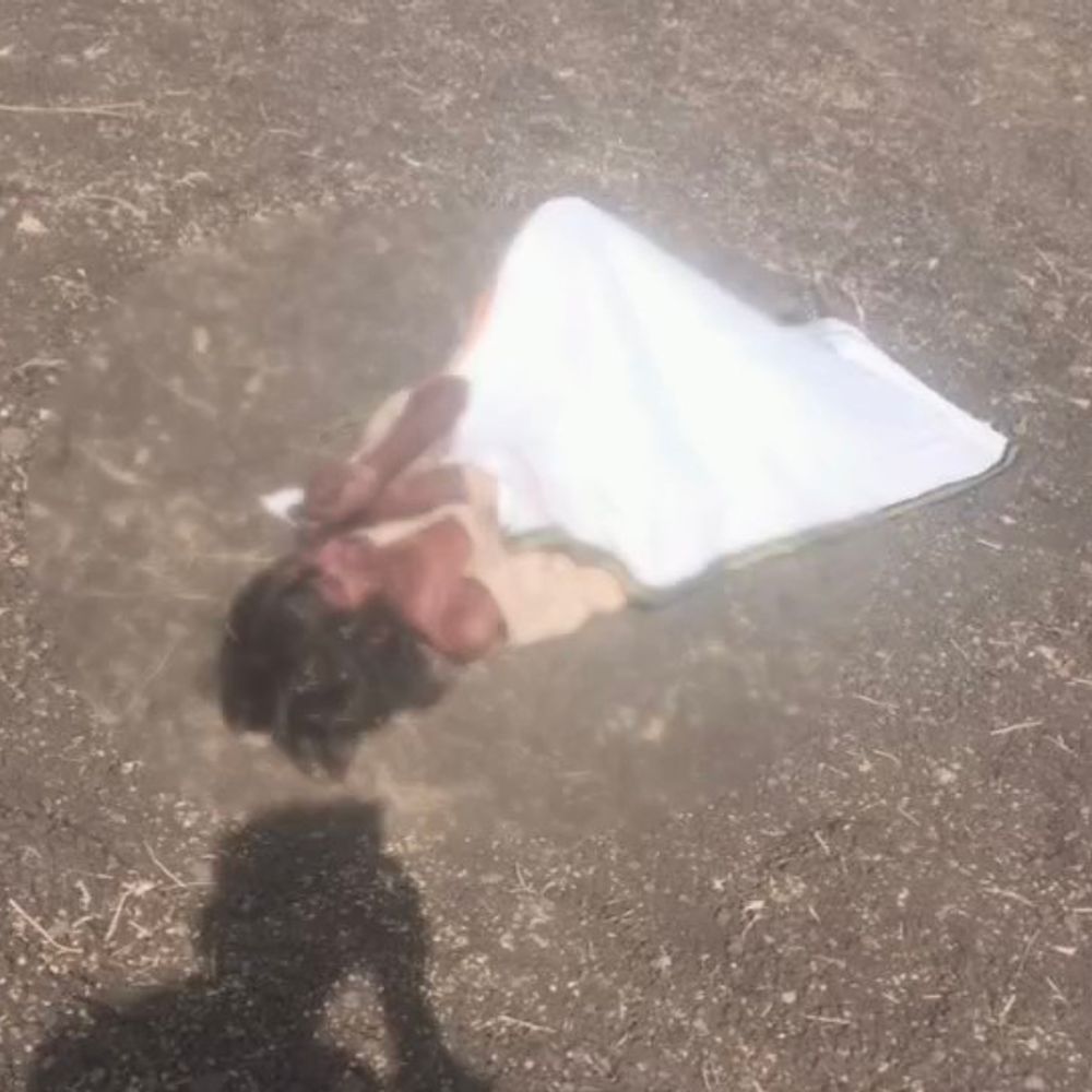 नीमच के खेत में युवती का संदिग्ध शव मिला:कपड़े अस्त-व्यस्त थे; पुलिस को अनहोनी की आशंका, मां के साथ रहती थी अकेली