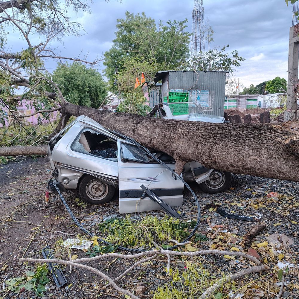 अस्पताल के सामने खड़ी कार पर गिरा आम का पेड़:दो हिस्सों में हुई चकनाचूर, रोड भी हो गया ब्लॉक