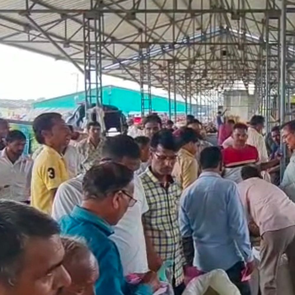 धार मंडी में दो दिन बाद आज से नीलामी:छुट्टी के बाद किसानों की भारी भीड़, नए गेहूं की भी हो रही भारी आवक