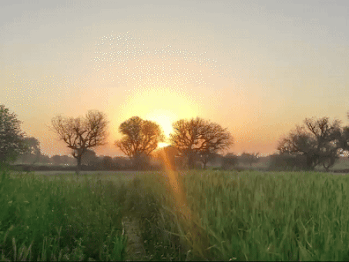 राजस्थान- मार्च में ही हीटवेव का अलर्ट,पारा 40 के करीब:दिन में झुलसाने वाली धूप, रात ठंडी; जानें- अचानक इतनी गर्मी क्यों बढ़ी