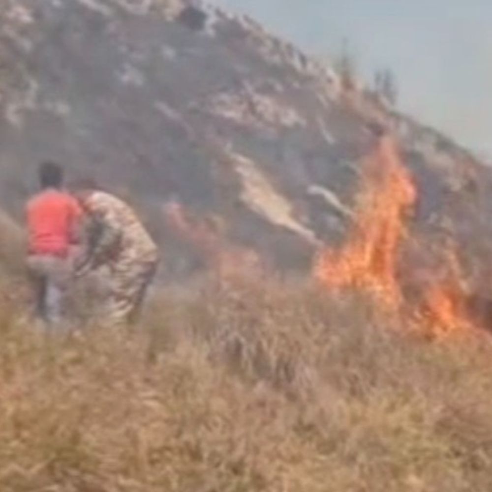 चंबल के बीहड़ में लगी आग:पुलिस कर्मियों और बाद में मौके पर पहुंची दमकल ने बुझाई आग बीहड़ से गांव की तरफ बढ़ रही थी आग