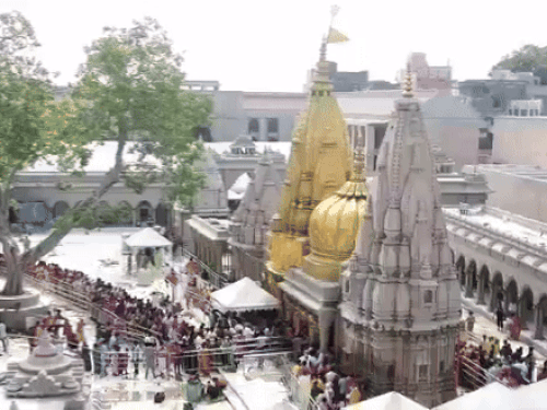 विश्वनाथ धाम में महिला दिवस पर VIP होंगी नारी शक्ति:गेट संख्या- 4B से मिलेगा निशुल्क प्रवेश, कराए जाएंगे झांकी दर्शन