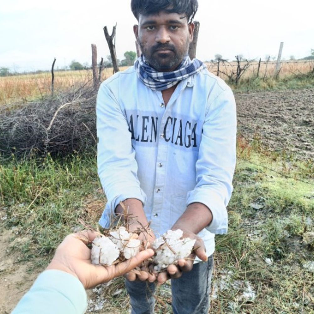 टोंक में ओले गिरने से फसलें खराब:मूंग और गेहूं को सबसे ज्यादा नुकसान, अभी भी बारिश का अलर्ट