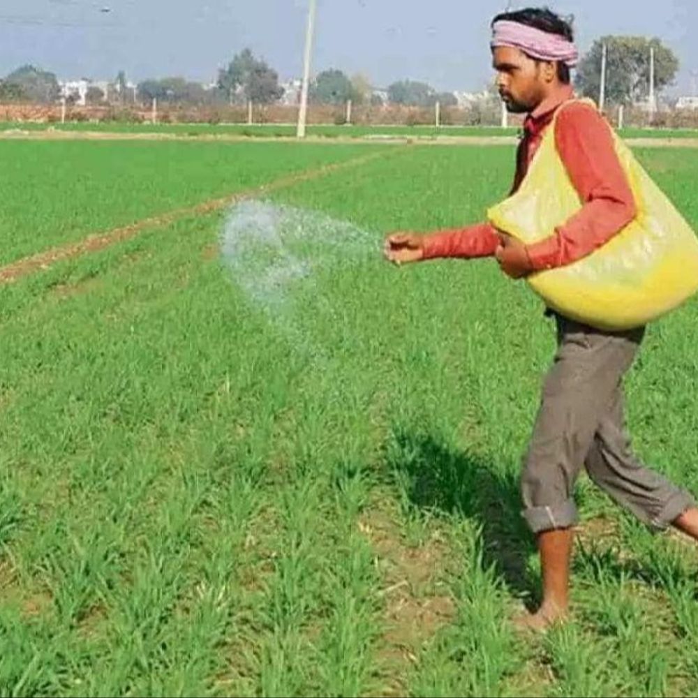 उर्वरक कालाबाजारी पर सख्ती, क्यूआरटी टीम गठित:बाजार पर टीम रखेगी नजर, शिकायत मिलने पर तुरंत होगी कार्रवाई