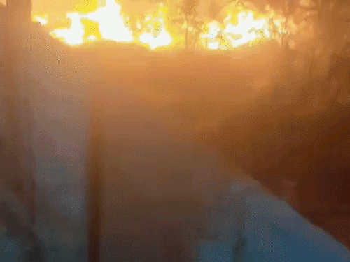 सीकर में पटाखा गिरने से खाली प्लाॅट में लगी आग:पोलो ग्राउंड के पास शादी में आतिशबाजी कर रहे थे, आग लगने से मची अफरा-तफरी, दमकल ने बुझाई