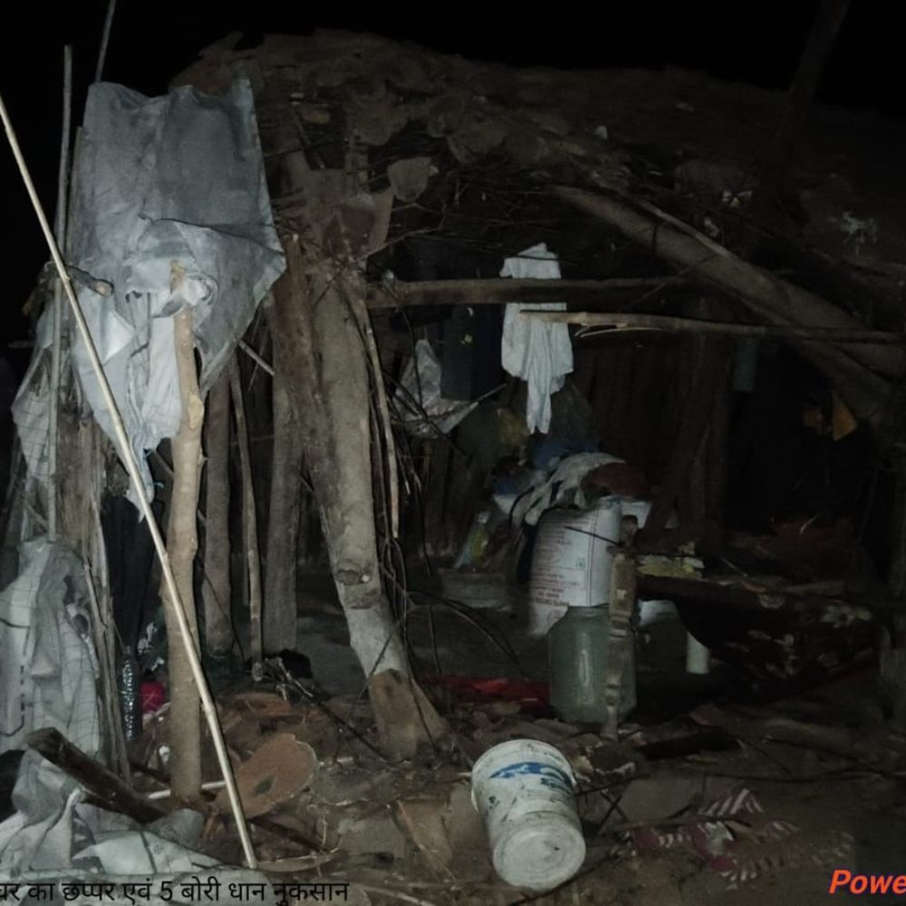 शहडोल में तीन जंगली हाथी घुसे:10 किमी चलकर पश्चिमी कटौतिया पहुंचे, फसल-मकान को नुकसान