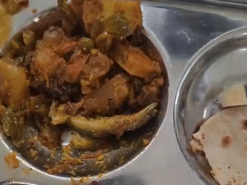 आरजीपीवी में कैंटीन संचालन निरस्त, अनुबंध भी तोड़ा:वायरल वीडियो में कैंटीन की सब्जी में निकली थी छिपकली, रिपोर्ट में हुई पुष्टी