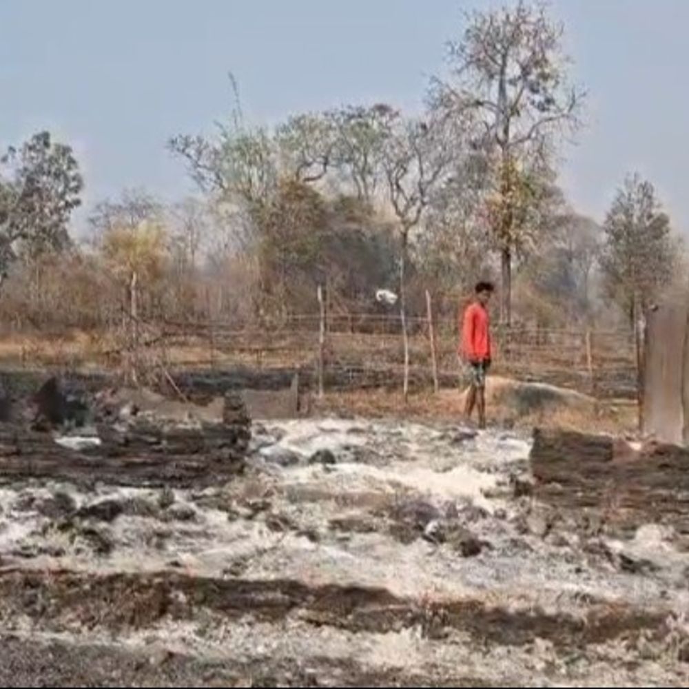 कांकेर में जंगल की आग से घर जला:किसान का आशियाना राख, वन विभाग पर लापरवाही का आरोप