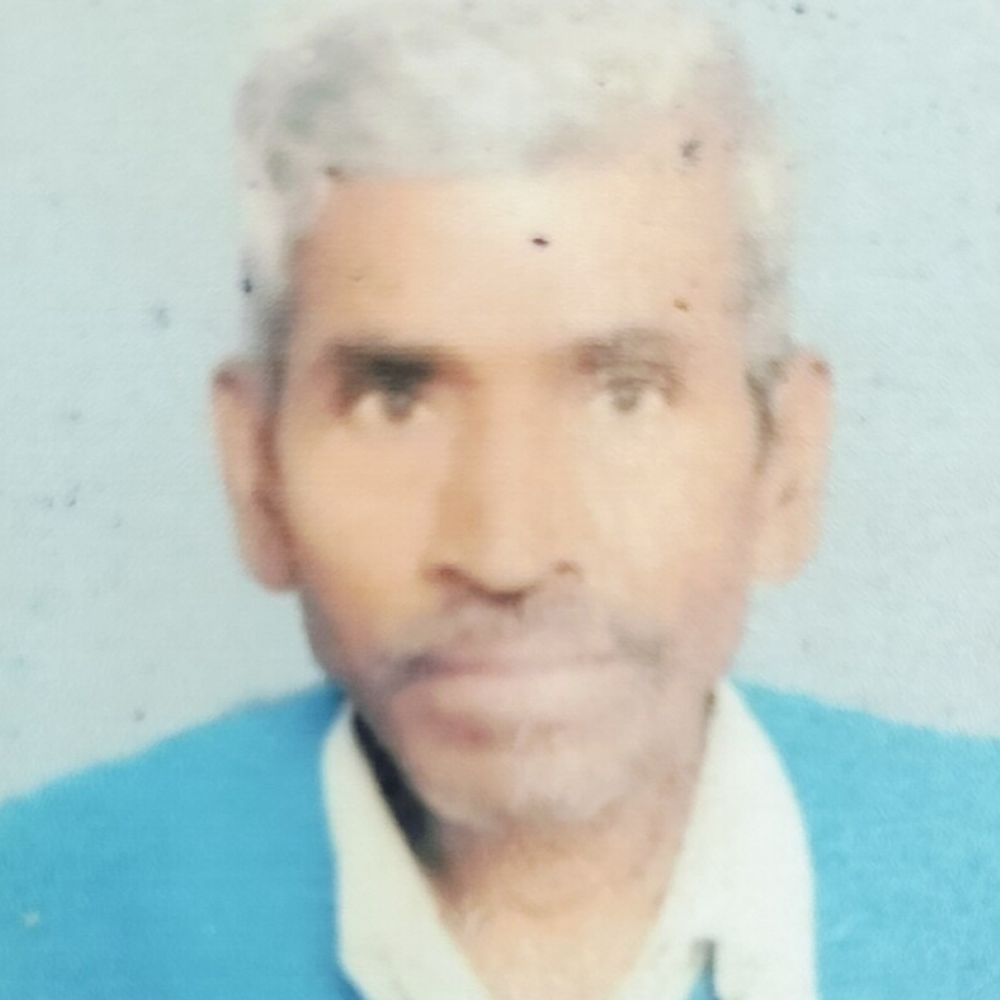 मधुमक्खियों के हमले में किसान की मौत, कई ग्रामीण घायल:मैनपुरी के नगला सोती में मिर्च के खेत में काम के दौरान हमला, मवेशी भी बने शिकार