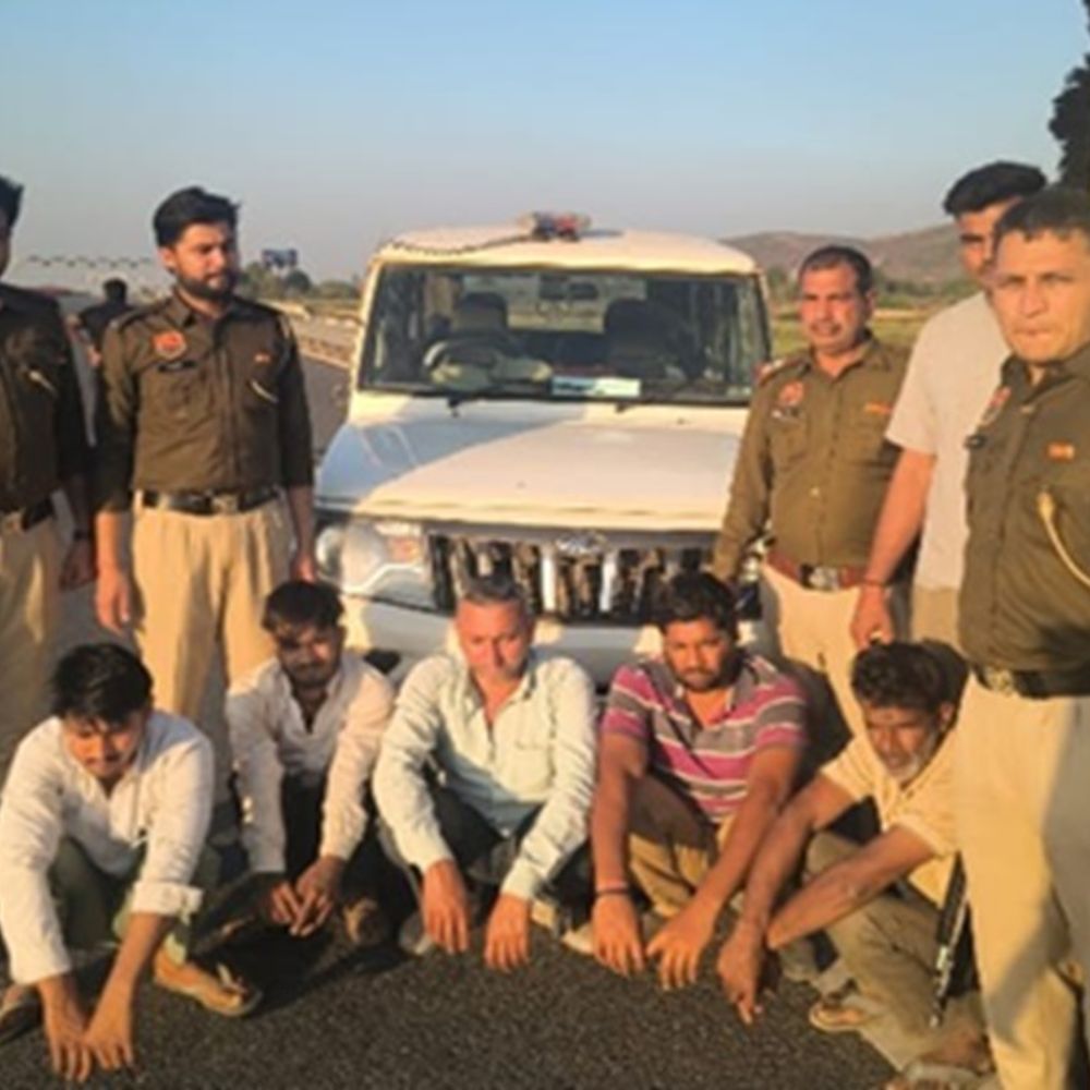 नूंह में गौ तस्करी पर कार्रवाई, 7 गिरफ्तार:7 गोवंश और 70 किलो प्रतिबंधित मांस बरामद; कोर्ट ने सभी को जेल भेजा