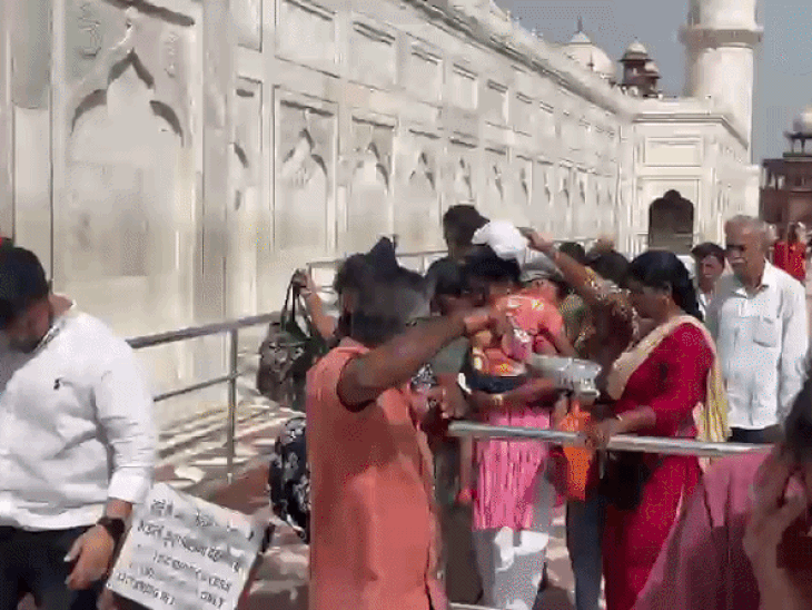 ताजमहल परिसर में मधुमक्खियों के हमले से अफरा-तफरी:पेड़ से छत्ता टूटते ही पर्यटकों की ओर आ गया था मधुमक्खियों का बड़ा झुंड