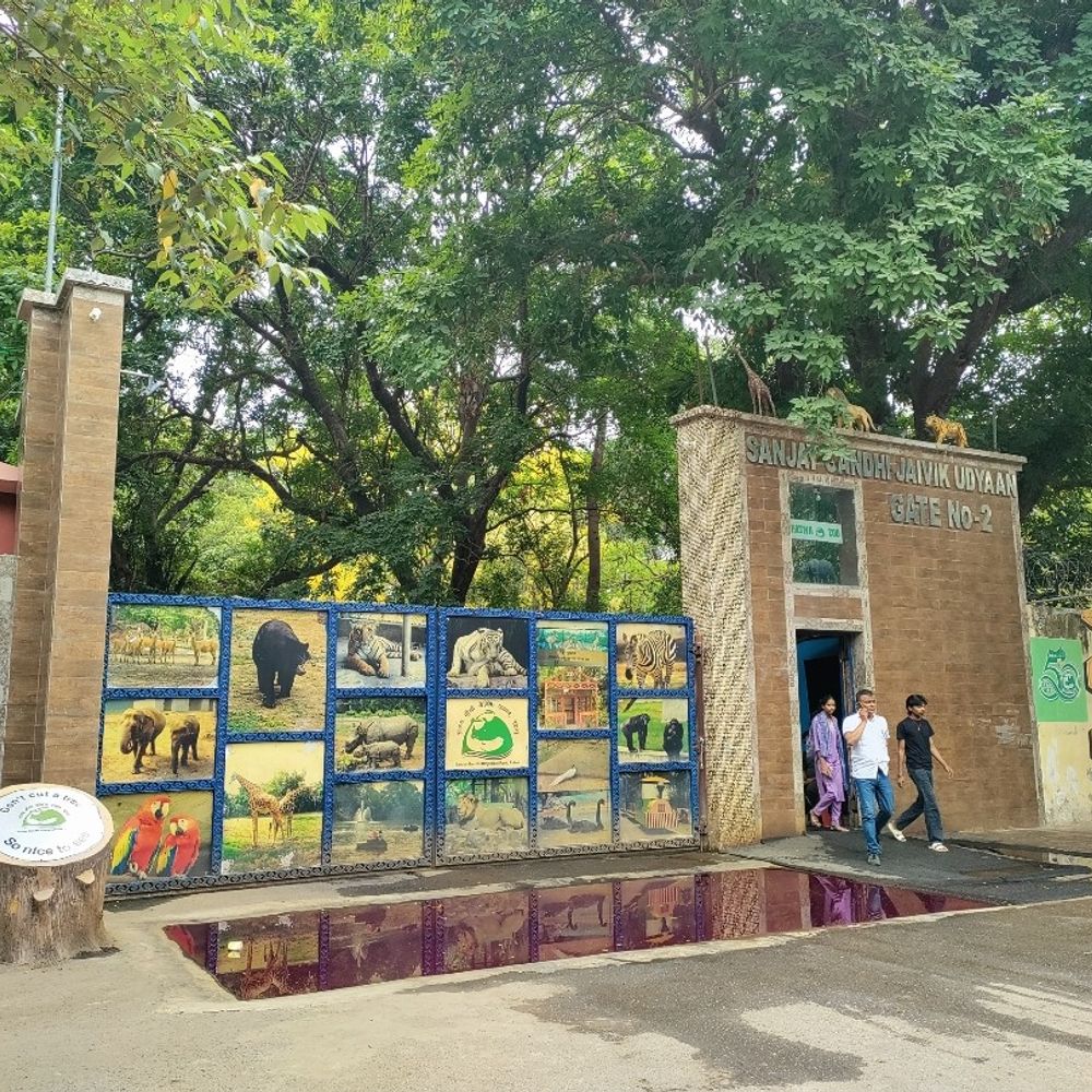 सड़क पार करने के लिए दबाना होगा बटन:पटना जू के सामने पैदल यात्रियों के लिए नई स्मार्ट व्यवस्था होगी, 20 मिनट तक रोक सकेंगे ट्रैफिक