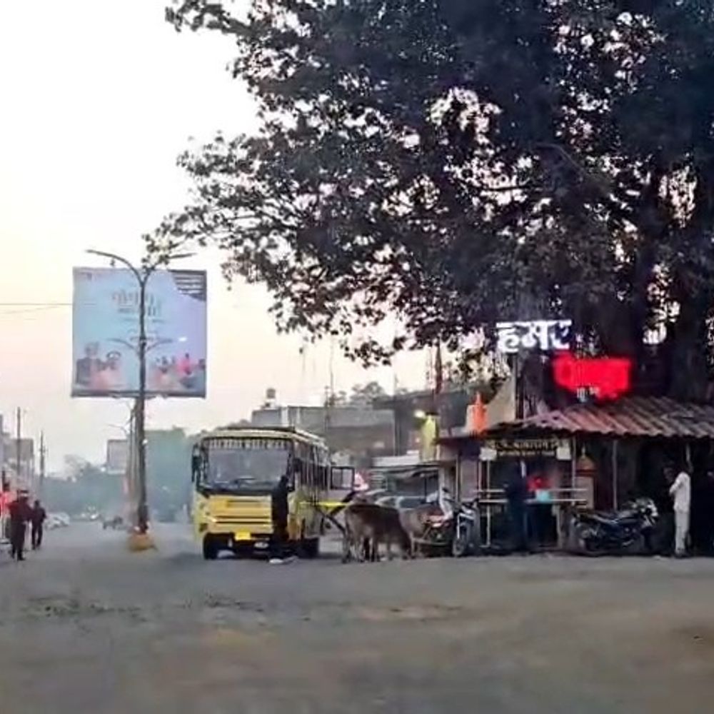 पेंड्रा बाईपास का नाम होगा सेमरा-मरवाही:राजनीतिक कारणों से अटका था काम, सड़क के लए 56 करोड़ की राशि स्वीकृत